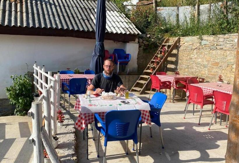 هاستل Guest House Bozvill