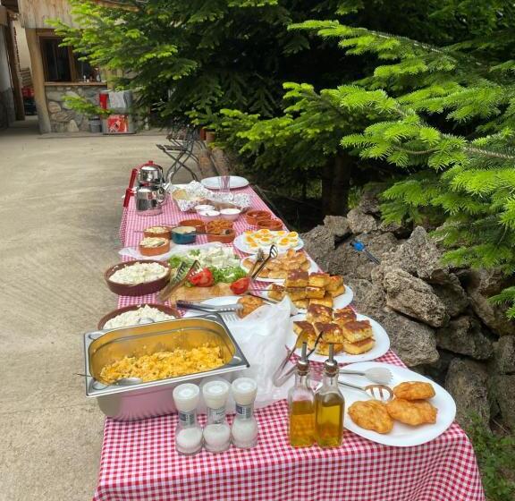 هاستل Guest House Bozvill