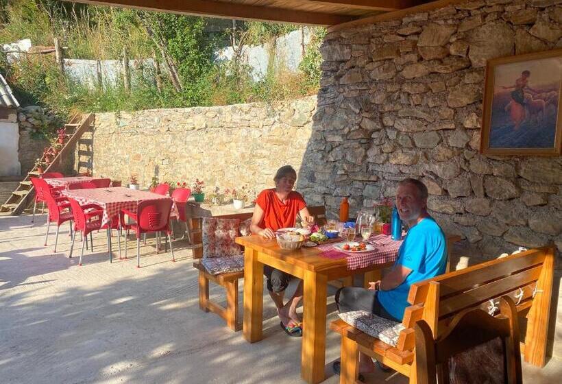 هاستل Guest House Bozvill