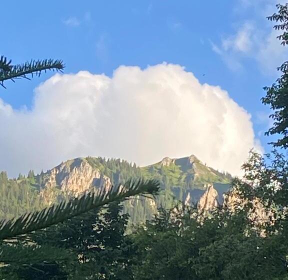 هاستل Guest House Bozvill