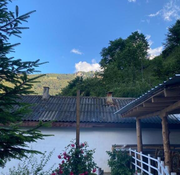 هاستل Guest House Bozvill