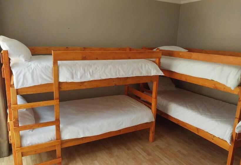 הוסטל Serenity Shores Backpackers