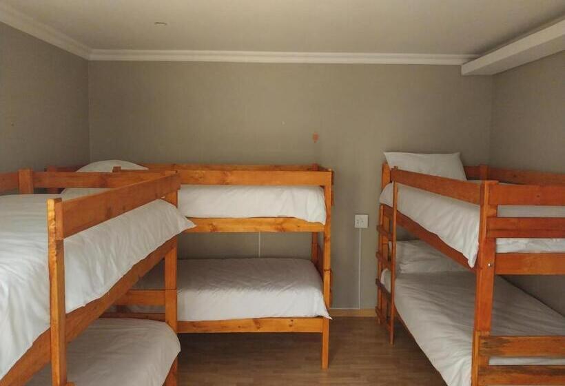 הוסטל Serenity Shores Backpackers