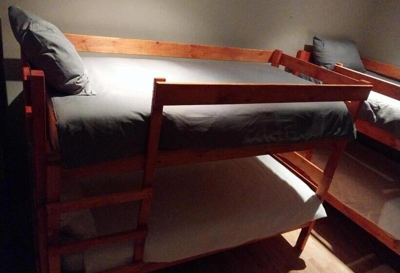 הוסטל Serenity Shores Backpackers