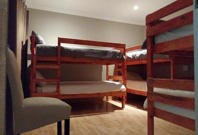 הוסטל Serenity Shores Backpackers