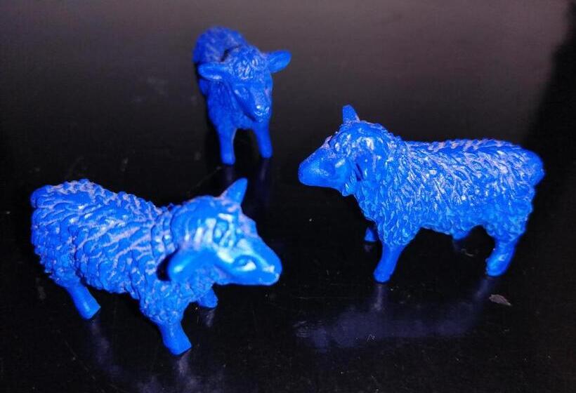 ベッドアンドブレックファースト Chambre D Hôtes Les Moutons Bleus