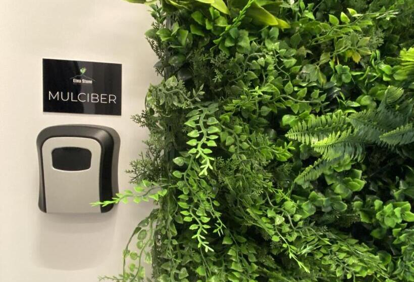 住宿加早餐  Etna Stone