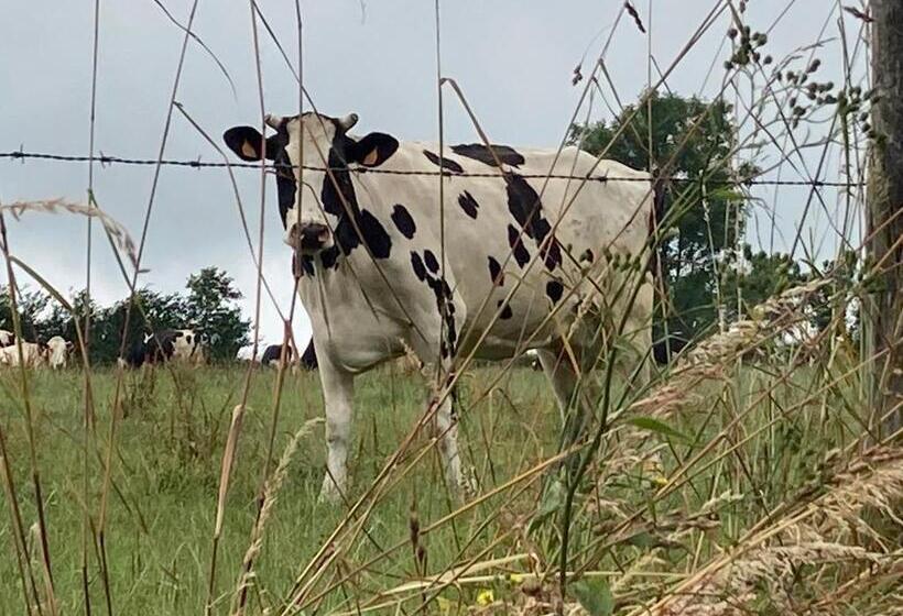 צימר Le Montesser