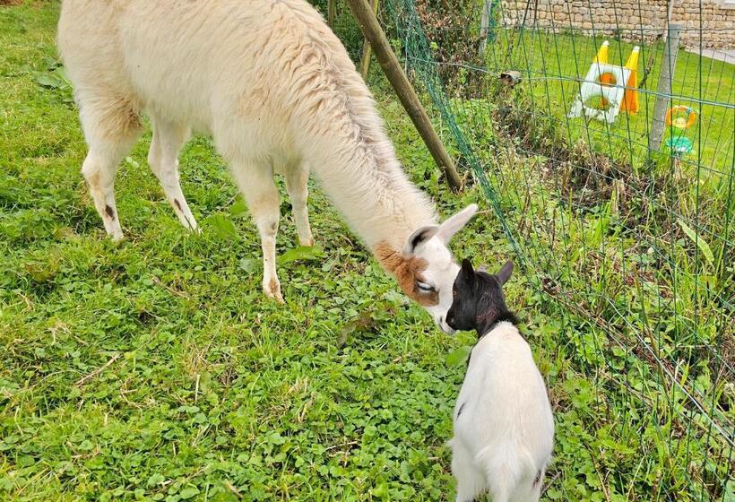 민박 Les Chambres D Hôtes La Guiberdière