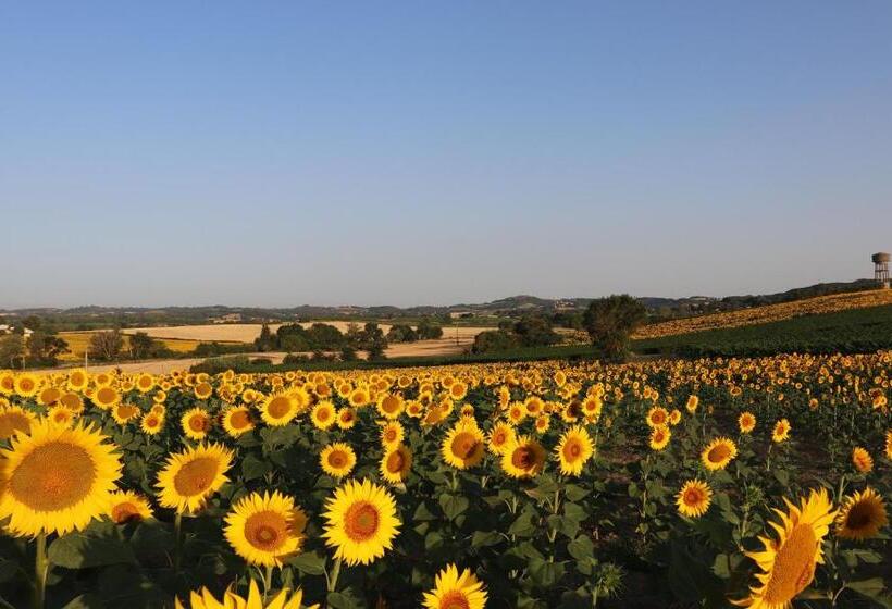 Pax Et Amor Chambres D Hôtes De Charme   Charming B&b