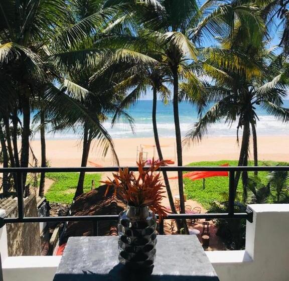 مبيت وإفطار Sunset House