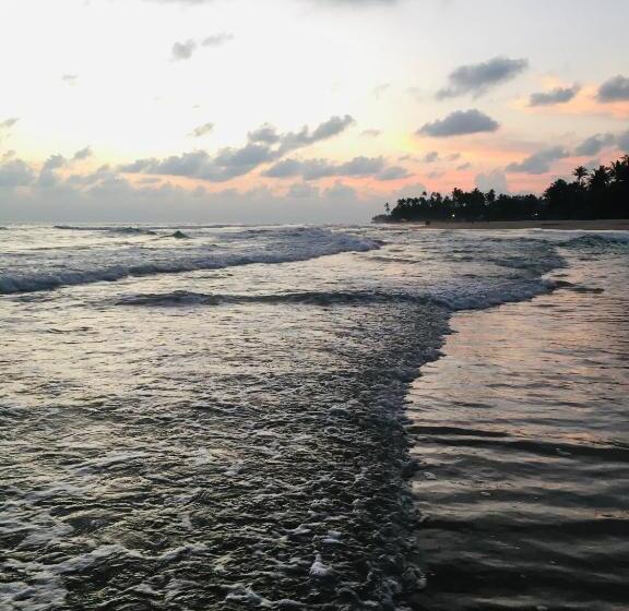 مبيت وإفطار Sunset House