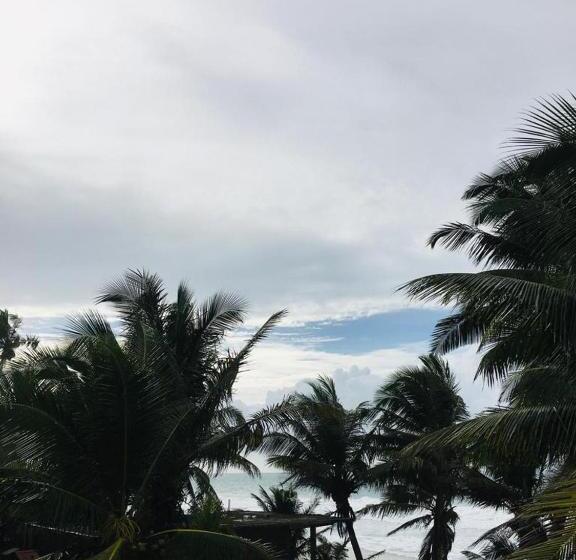 مبيت وإفطار Sunset House