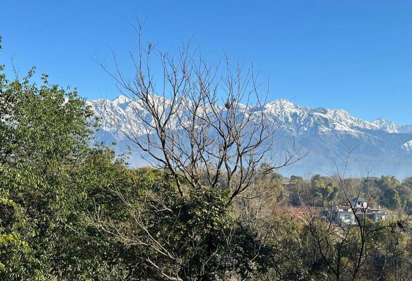 مبيت وإفطار Terra Cottage