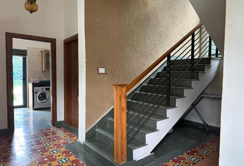 住宿加早餐  Terra Cottage