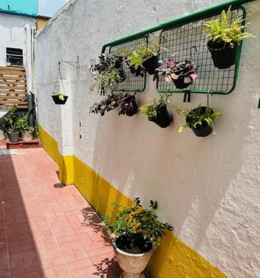 Hostel Das Flores