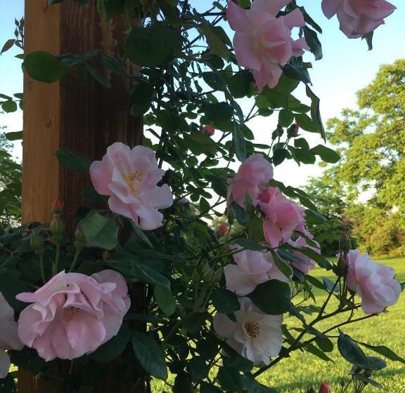 호텔 Agriturismo Settelune