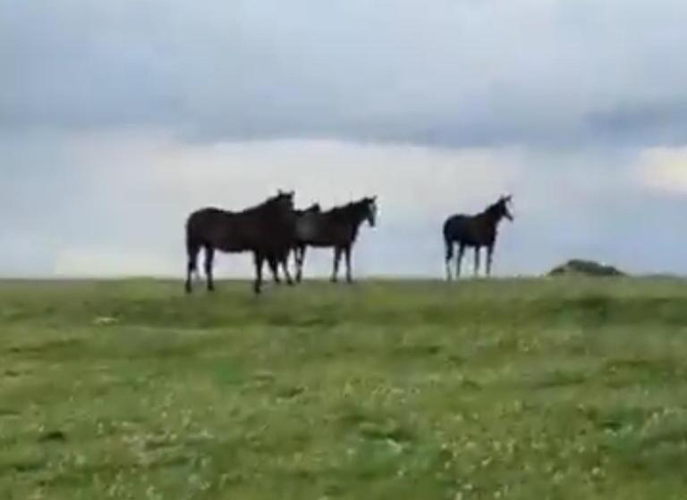 호텔 Bright Cottage, Kingdom Of Mourne