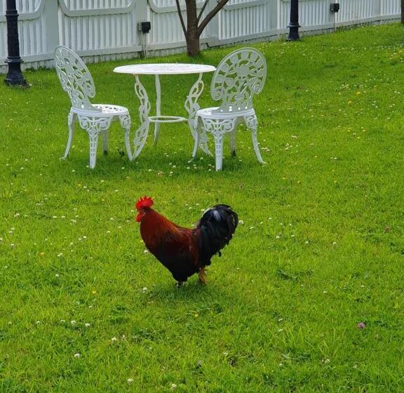 호텔 Bright Cottage, Kingdom Of Mourne