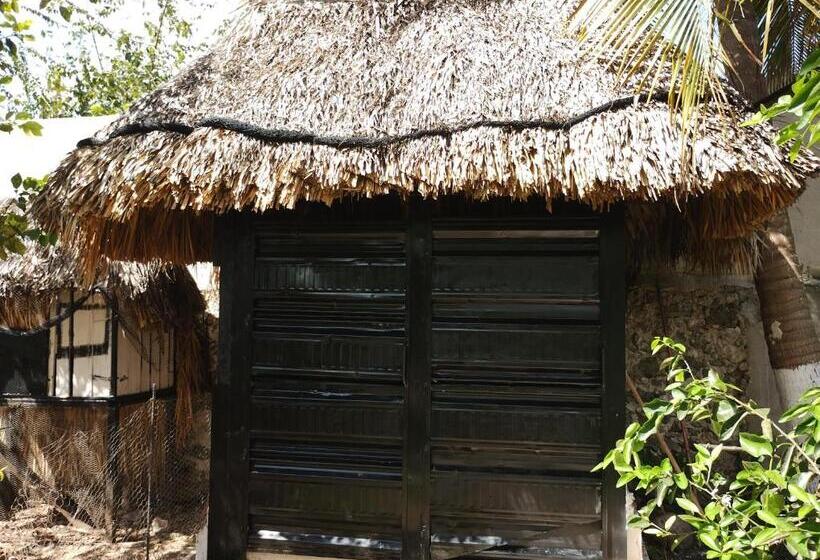 Отель Y Museo Aldea Maya Toktli Orígenes Casa Maya Toh Alberca, Wifi Starlink, Tour Museo