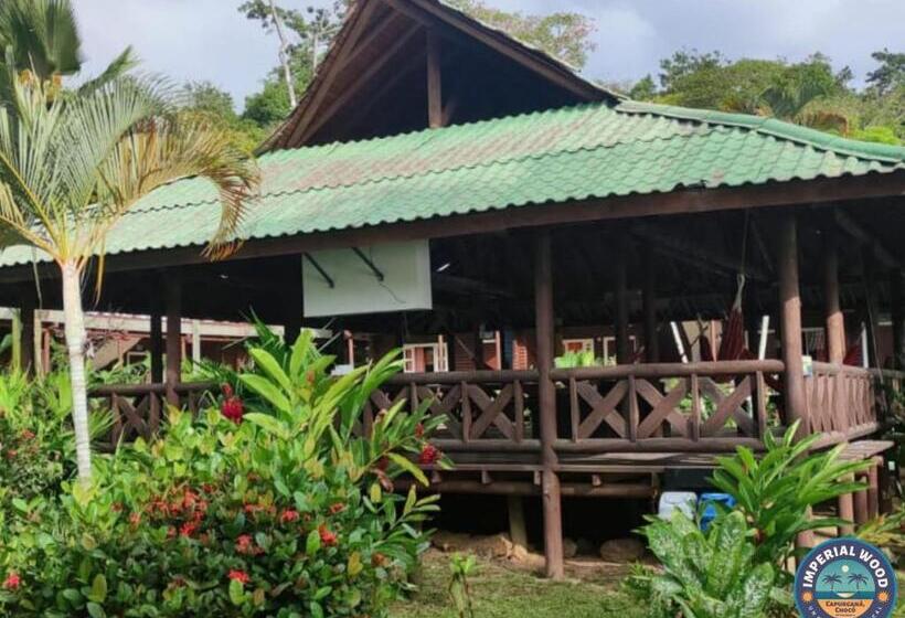 Отель Imperial Wood