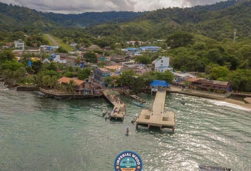 Отель Imperial Wood