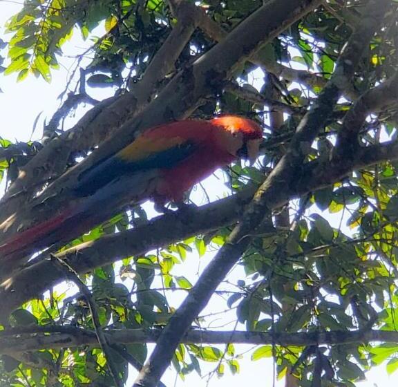 בית מלון כפרי La Quinta De Andrés