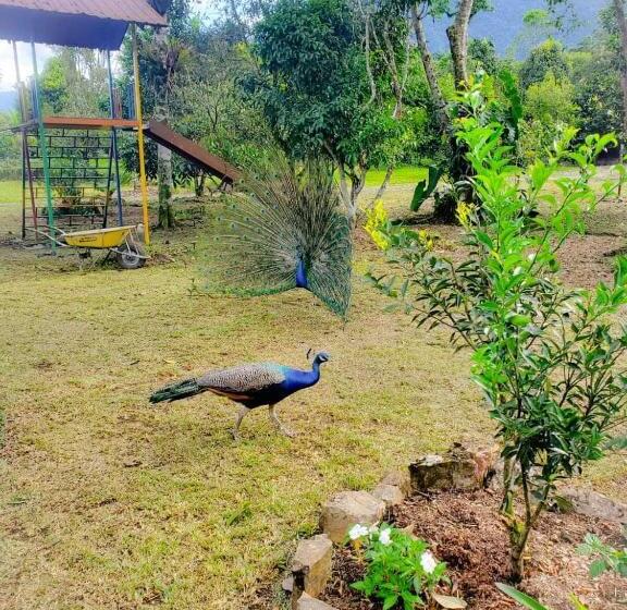 בית מלון כפרי La Quinta De Andrés