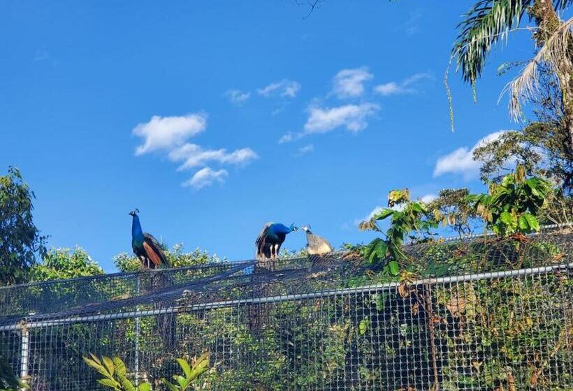 בית מלון כפרי La Quinta De Andrés