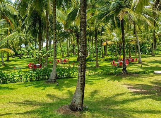 בית מלון כפרי Lavendish Wild Wilpattu