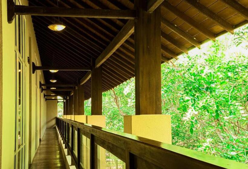 בית מלון כפרי Lavendish Wild Wilpattu