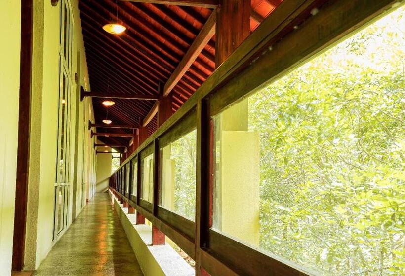 בית מלון כפרי Lavendish Wild Wilpattu