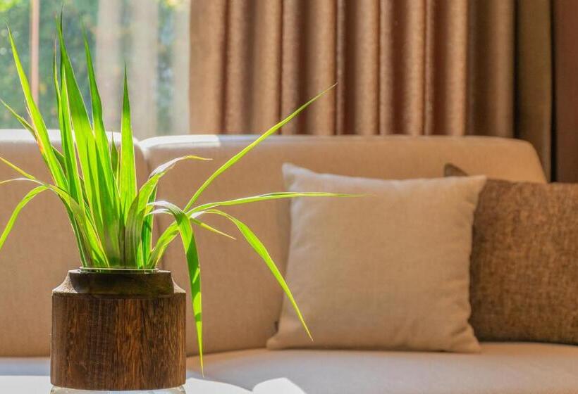 酒店 Osetia Garden