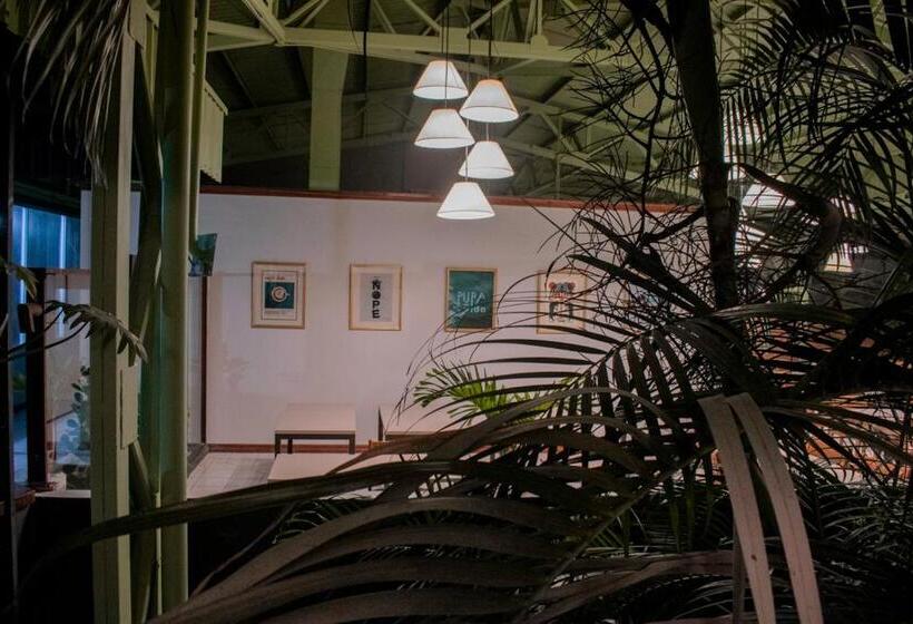 Отель Soy Local San José