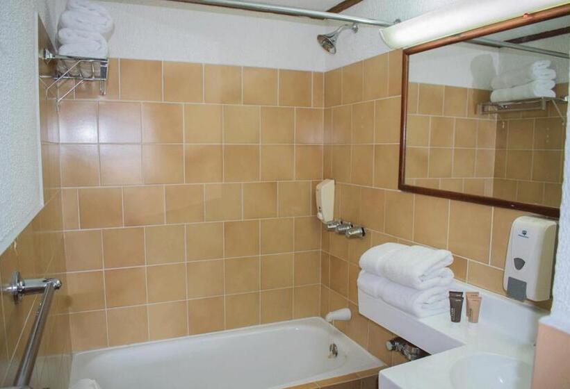 Отель Soy Local San José