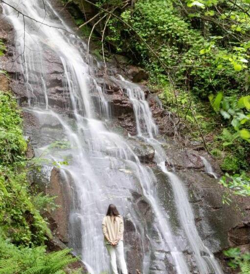 پانسیون стаи за гости в ритрийт център светлина мир любов Guest Rooms In Light Peace Love Center