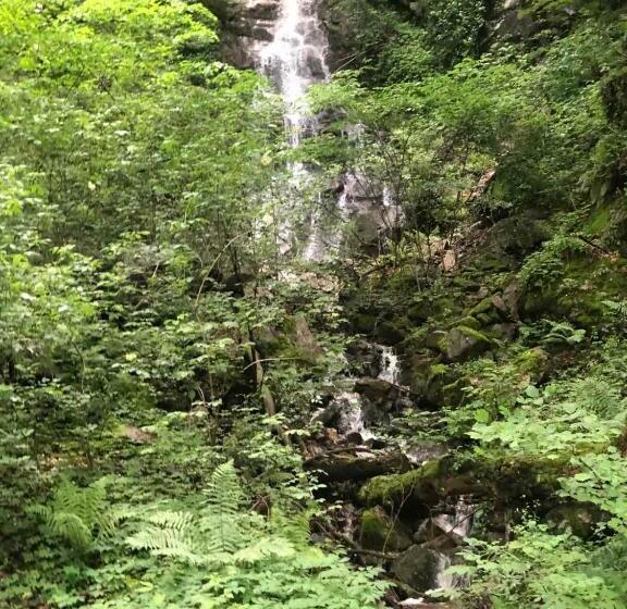 پانسیون стаи за гости в ритрийт център светлина мир любов Guest Rooms In Light Peace Love Center