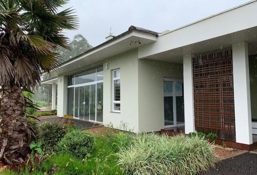 膳宿费 Loft Wanderlust