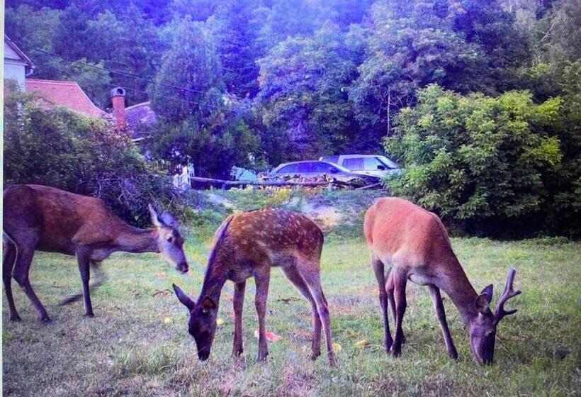 ペンション Bauer Vendégház Püspökszentlászló