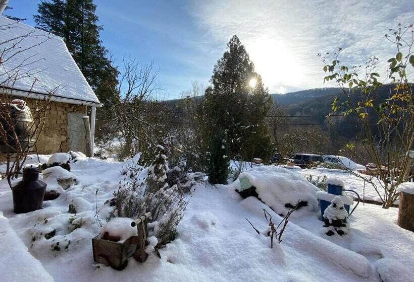 ペンション Bauer Vendégház Püspökszentlászló