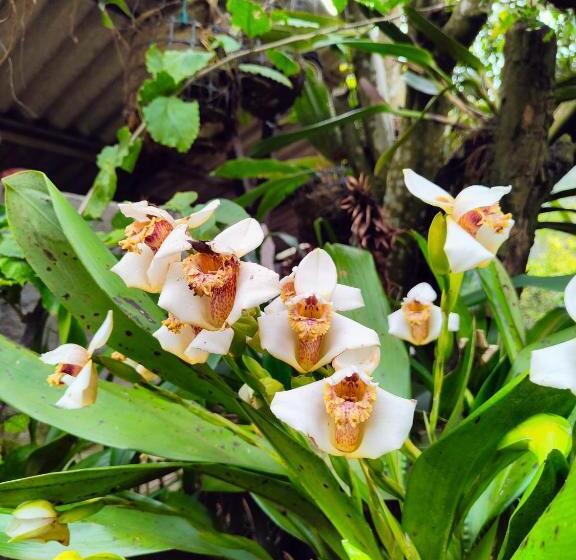 پانسیون Casa Hospedaje Ligñay