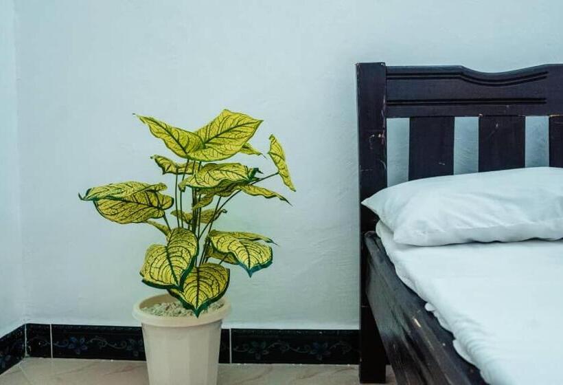 펜션 Nomad Cave  Stonetown