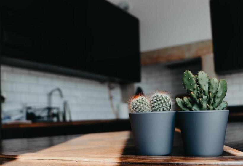 پانسیون Embassy Arriaga Private Elegance Rooms In Stylish Shared Apartment