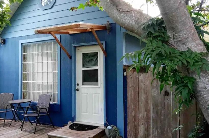 פנסיון Funky Little Shack