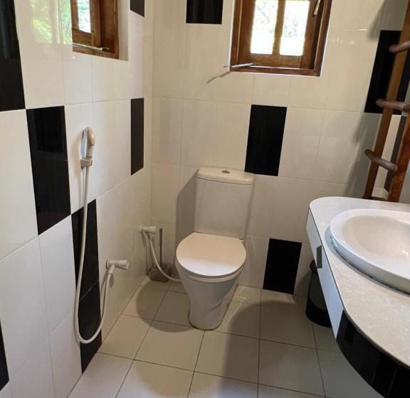 פנסיון Kirushna