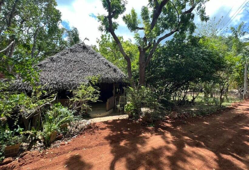 פנסיון Kirushna