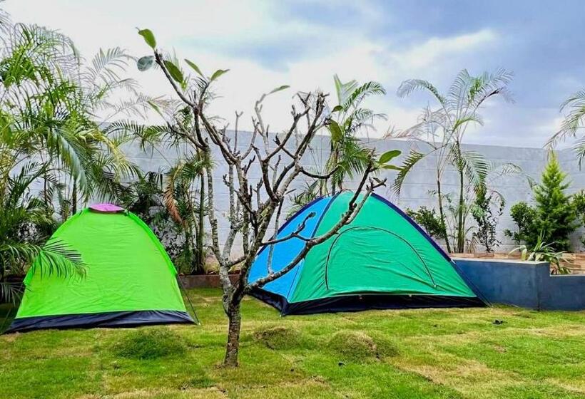 بنسيون The Croft Container Stay