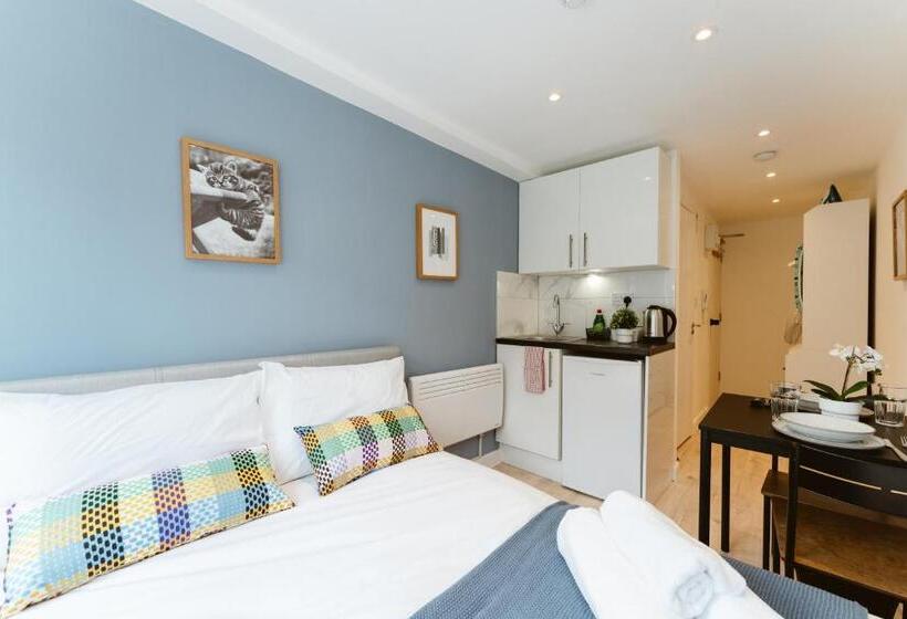 بنسيون The Finsbury Park Star Apartments