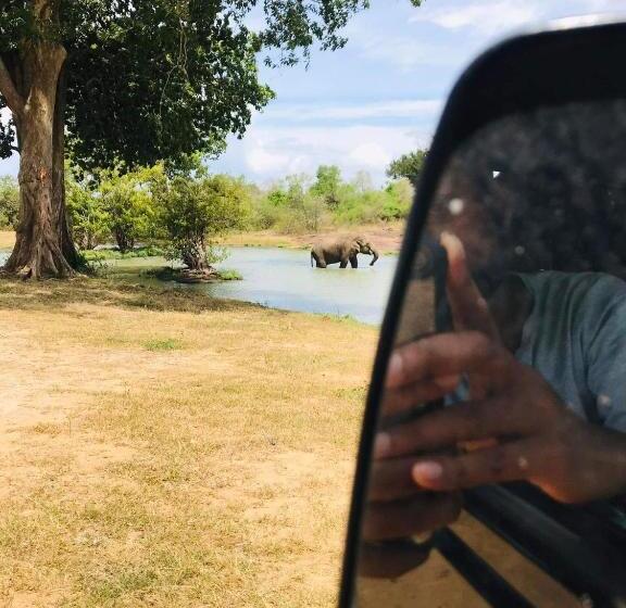 Пансион Tulip Hostel