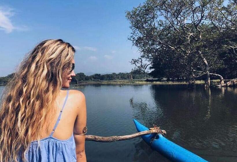 Пансион Tulip Hostel